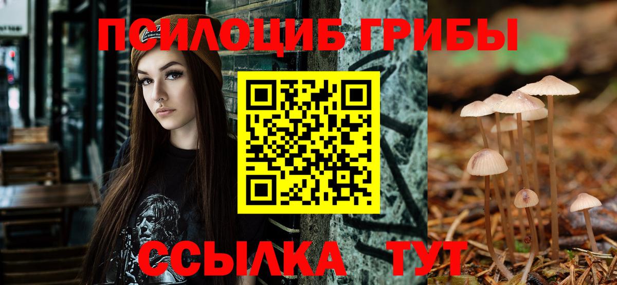 Галлюциногенные грибы Psilocybine cubensis Моздок