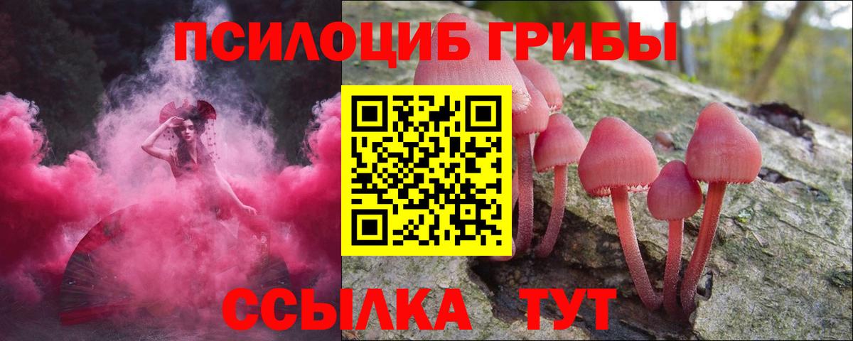 Псилоцибиновые грибы GOLDEN TEACHER  Вход с VPN  Моздок 